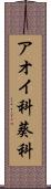 アオイ科 Scroll
