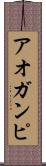 アオガンピ Scroll