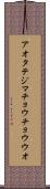 アオタテジマチョウチョウウオ Scroll