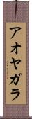 アオヤガラ Scroll