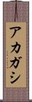 アカガシ Scroll