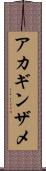 アカギンザメ Scroll