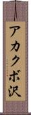 アカクボ沢 Scroll