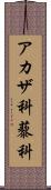 アカザ科 Scroll