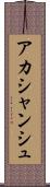 Akashanshu Scroll