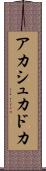 Akash Khadka Scroll