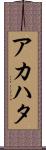アカハタ Scroll