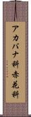 アカバナ科 Scroll