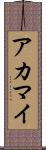 アカマイ Scroll