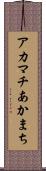 アカマチ Scroll