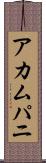 アカムパニ Scroll
