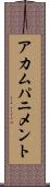 アカムパニメント Scroll