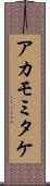 アカモミタケ Scroll