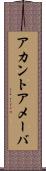 アカントアメーバ Scroll