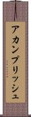 アカンプリッシュ Scroll