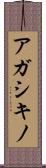 アガシキノ Scroll