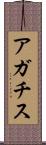 アガチス Scroll