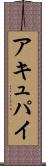 アキュパイ Scroll