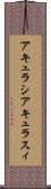 アキュラシ Scroll