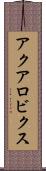アクアロビクス Scroll