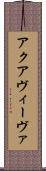 アクアヴィーヴァ Scroll