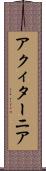 アクィターニア Scroll