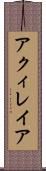 アクィレイア Scroll