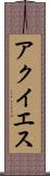 アクイエス Scroll