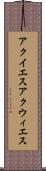 アクイエス Scroll