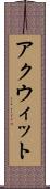 アクウィット Scroll