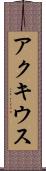アクキウス Scroll