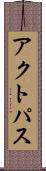 アクトパス Scroll