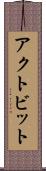 アクトビット Scroll