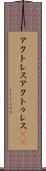 アクトレス Scroll