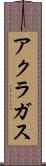アクラガス Scroll