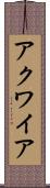 アクワイア Scroll