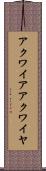 アクワイア Scroll