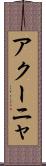 アクーニャ Scroll