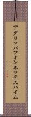 アグリッパフォンネッテスハイム Scroll