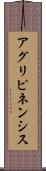 アグリピネンシス Scroll