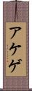 アケゲ Scroll