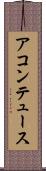 アコンテュース Scroll