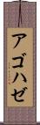 アゴハゼ Scroll