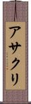 アサクリ Scroll