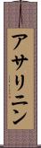 アサリニン Scroll