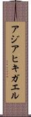 アジアヒキガエル Scroll
