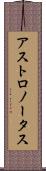 アストロノータス Scroll