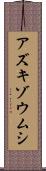 アズキゾウムシ Scroll