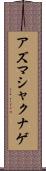 アズマシャクナゲ Scroll