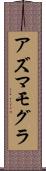 アズマモグラ Scroll